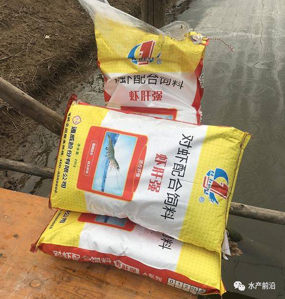 养甲鱼致富视频_致富经养甲鱼_甲鱼养殖致富经
