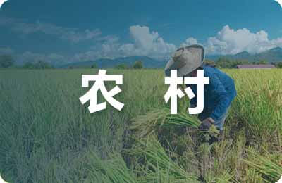 农村电网低电压治理典型措施