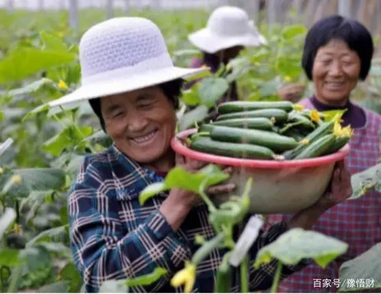 致富农民有情怀打一成语_农民致富经_致富农民的心理