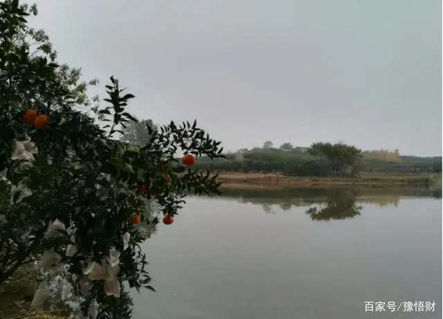 农民致富经_致富农民有情怀打一成语_致富农民的心理