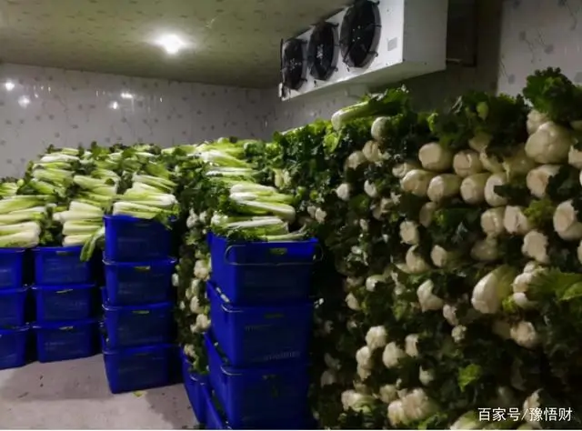 农民致富经_致富农民的心理_致富农民有情怀打一成语