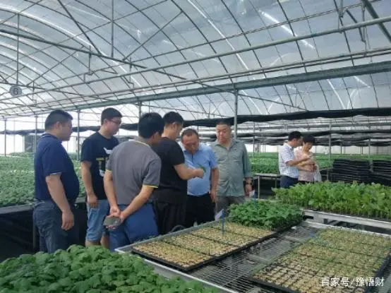 致富农民有情怀打一成语_农民致富经_致富农民的心理