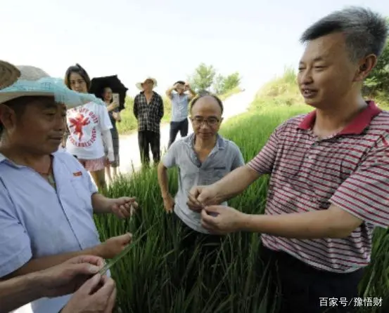 致富农民有情怀打一成语_致富农民的心理_农民致富经