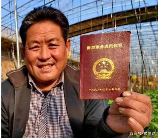 致富农民的心理_致富农民有情怀打一成语_农民致富经