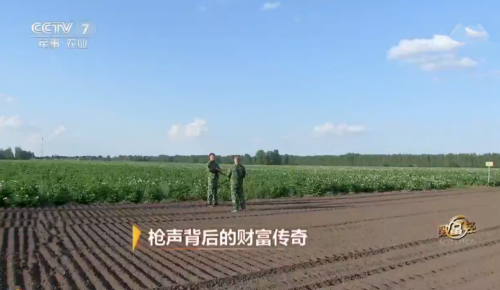 央视致富节目_央视致富经_2020央视致富经