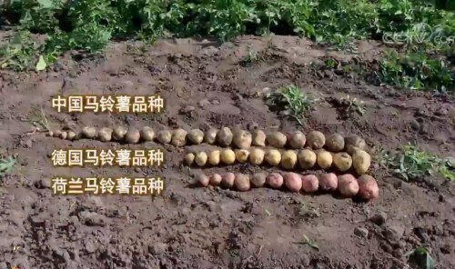 央视致富经_央视致富节目_2020央视致富经