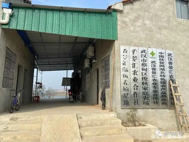致富养殖项目_养殖致富经_致富养殖好项目大全