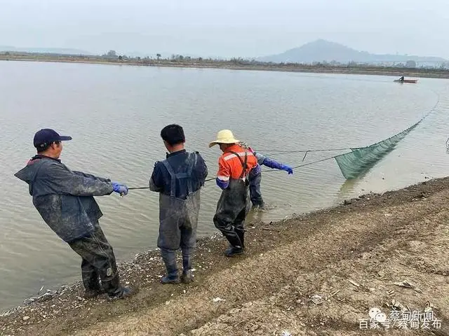 致富养殖好项目大全_致富养殖项目_养殖致富经