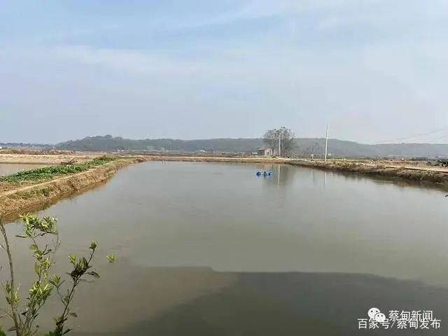 养殖致富经_致富养殖好项目大全_致富养殖项目