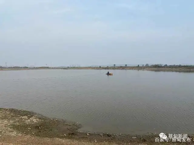致富养殖好项目大全_致富养殖项目_养殖致富经