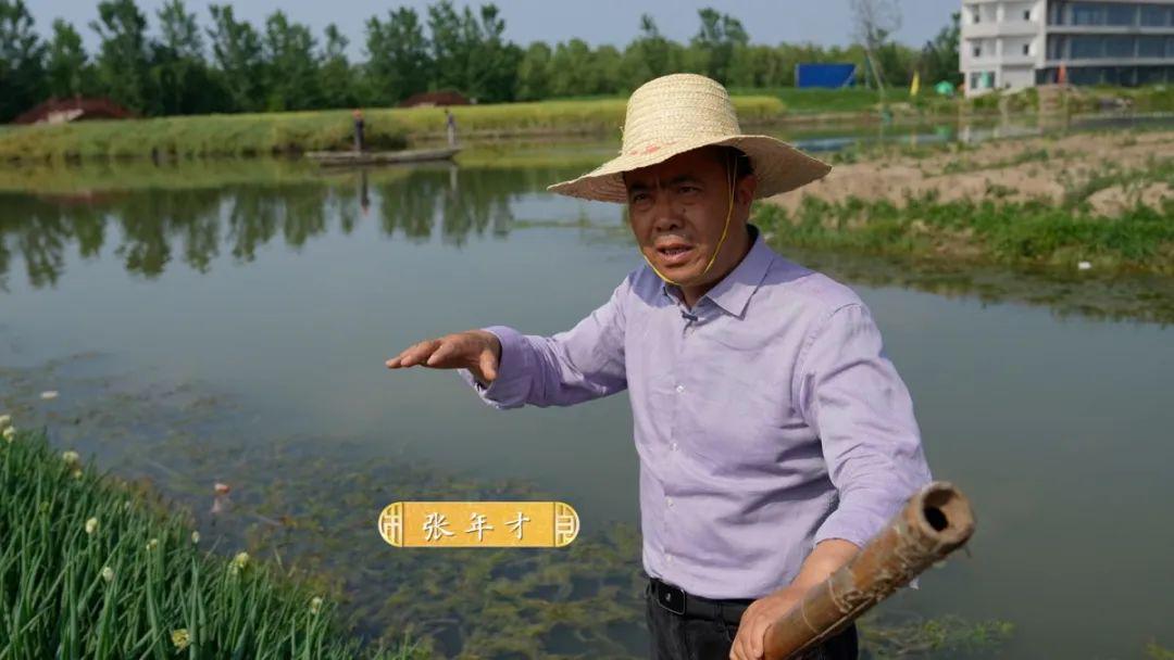 中央致富频道直播_中央致富经全集_中央七台致富经