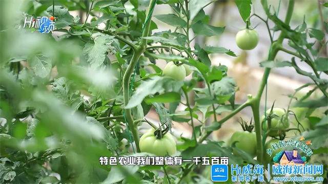 致富频道拼音_致富经频道_致富频道是什么频道