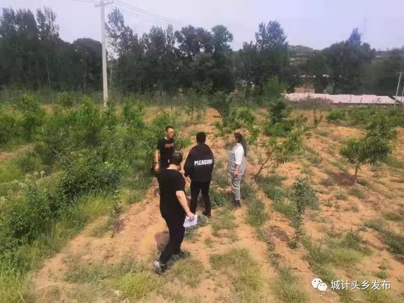 致富农民的心理_致富农民有情怀打一成语_农民致富经