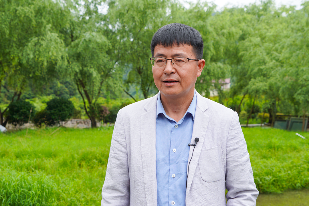 致富经鱼_致富鱼游出产业振兴路_致富鱼丰收