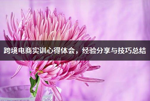 跨境电商实训心得体会，经验分享与技巧总结