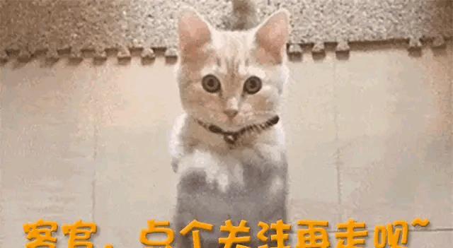 物业优质服务典型经验_物业典型优质经验服务案例_物业服务经验总结