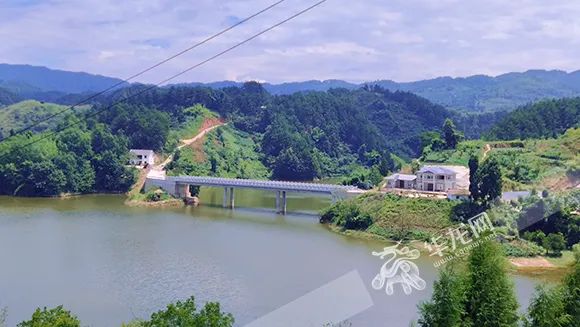 致富经养甲鱼视频播放_致富经甲鱼_致富经甲鱼养殖技术视频