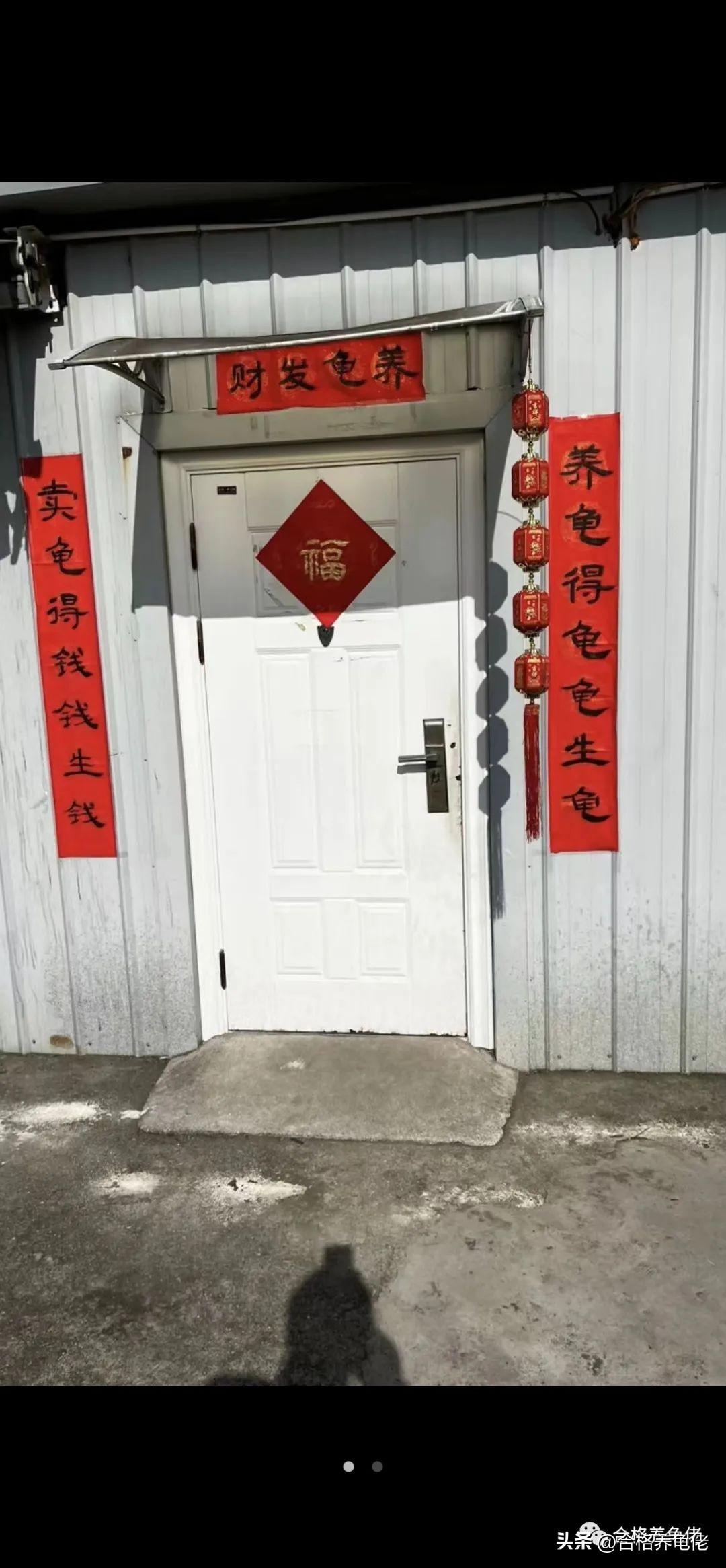 致富经养龟_致富经养乌龟_养龟致富视频