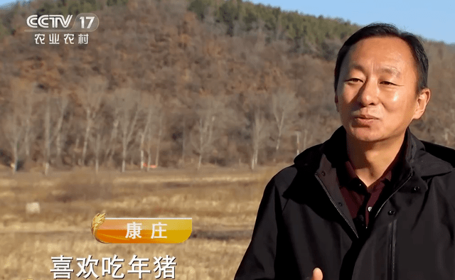 致富养猪场赚钱版_致富养猪如何玩_致富经养猪
