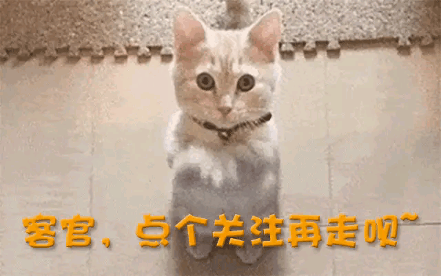 之路优质回答经验怎么写_流放之路哪个裂隙是经验高_优质回答的经验之路