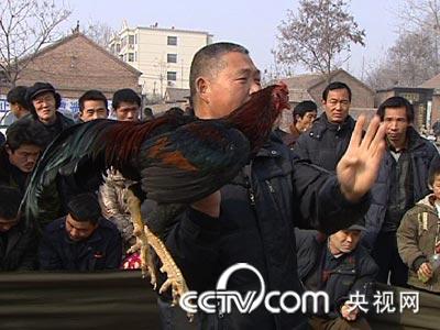 致富经_cctv致富经_怎样致富致富