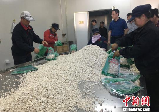 致富农民李文龙_致富农民劳动的精神_农民致富经