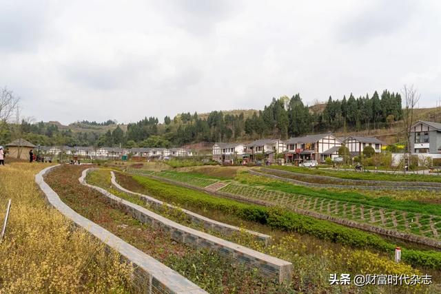 财富时代 | 借鉴这些经验，乡村旅游如何发展升级？
