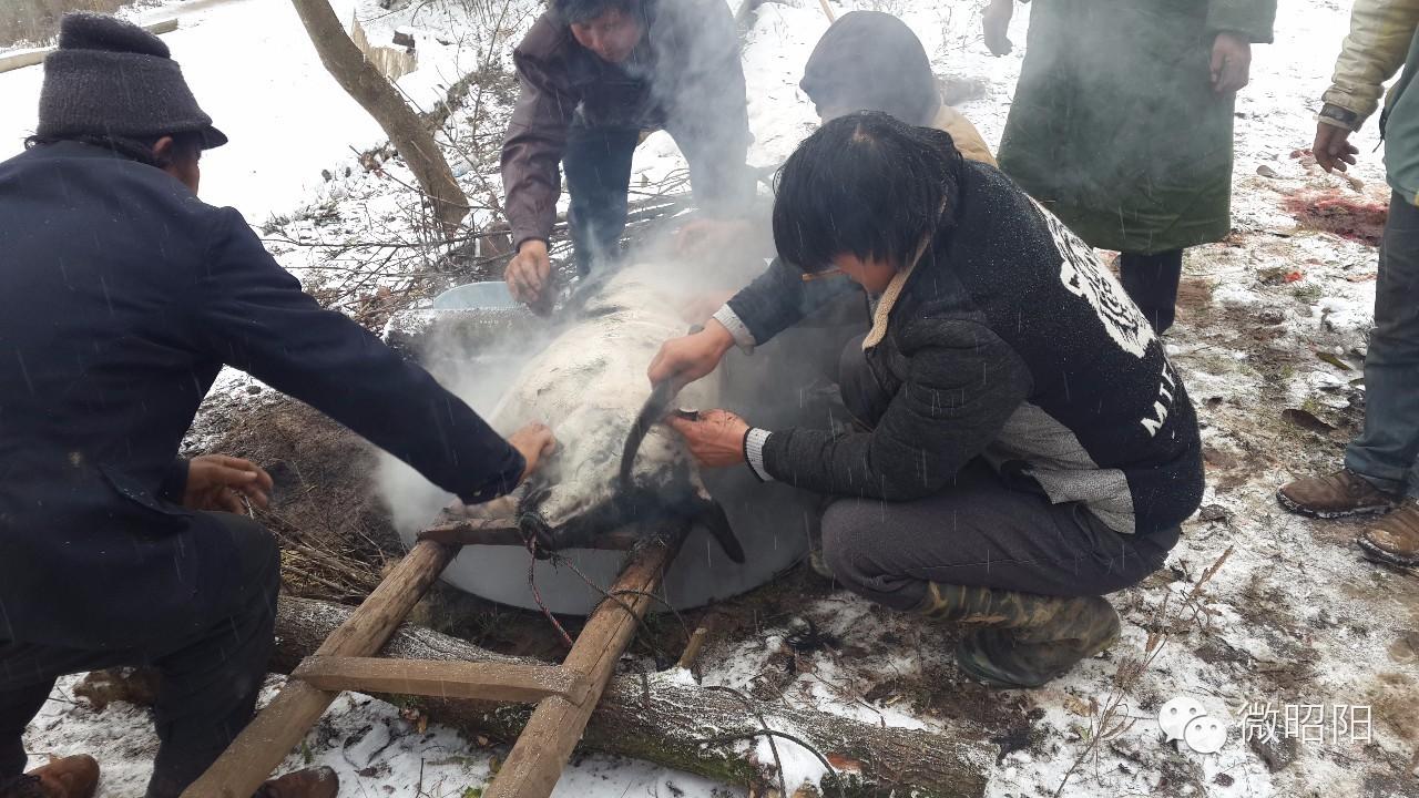 致富经中央_中央致富经在哪个频道_中央致富经是真的假的