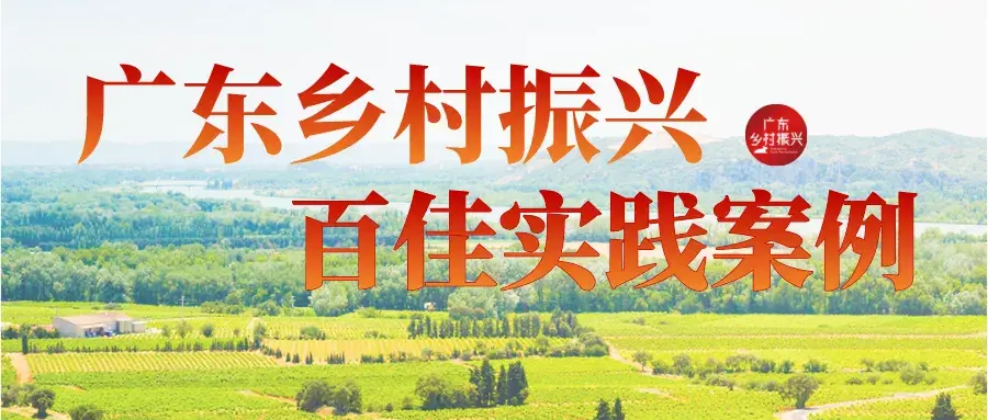 借鉴优质村庄规划经验_村庄借鉴优质规划经验做法_村庄借鉴优质规划经验材料