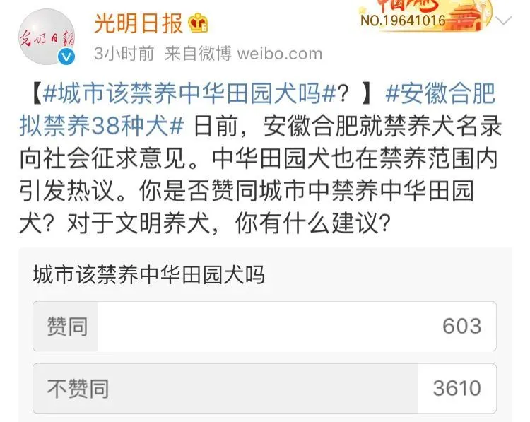 养狗致富经_致富经养狗成功例子_致富经养狗