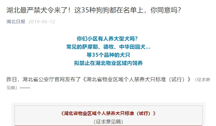 养狗致富经_致富经养狗成功例子_致富经养狗