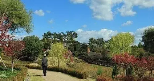 医生经验心得_医生心得体会怎么写_医生的心得