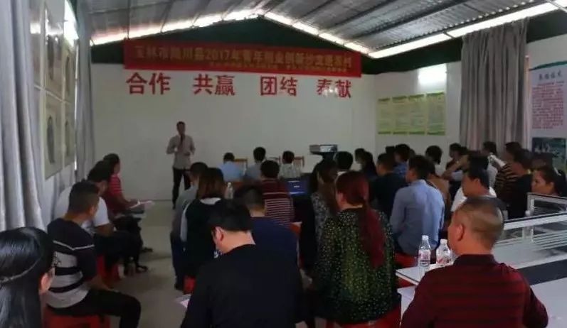 养鹅致富经视频_致富经鹅养殖技术视频_致富经养鹅视频