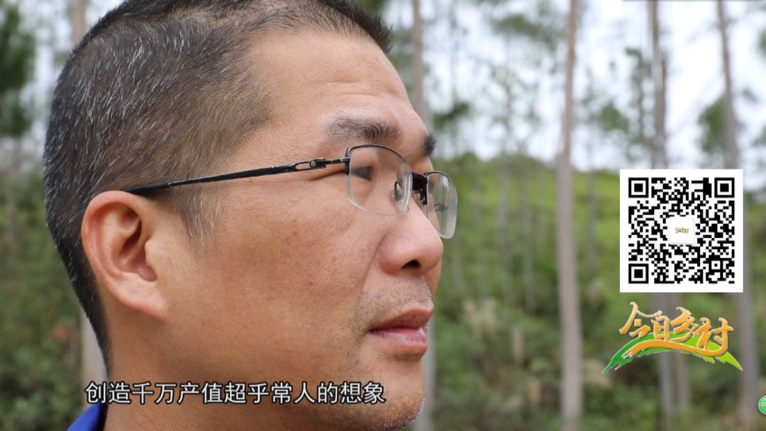 致富经养鹅视频_养鹅致富经视频_致富经鹅养殖技术视频
