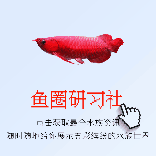 十年护肤经验护肤心得_cfa考试经验及心得_买鱼经验心得