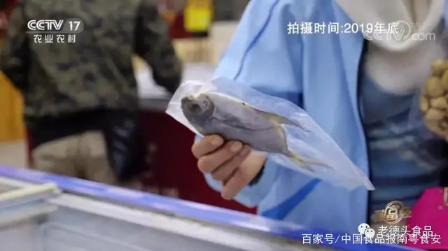 致富经鱼_致富鱼游出产业振兴路_致富鱼丰收