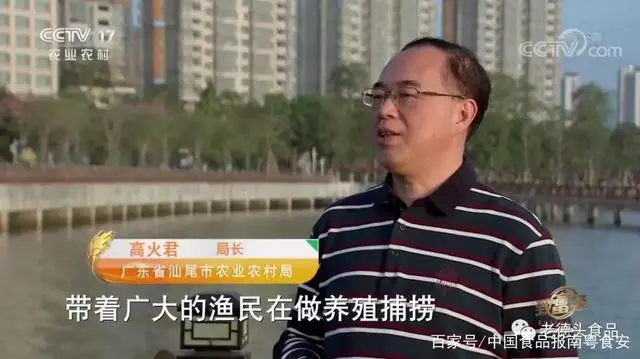 致富经鱼_致富鱼游出产业振兴路_致富鱼丰收