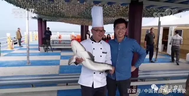 致富经鱼_致富鱼游出产业振兴路_致富鱼丰收