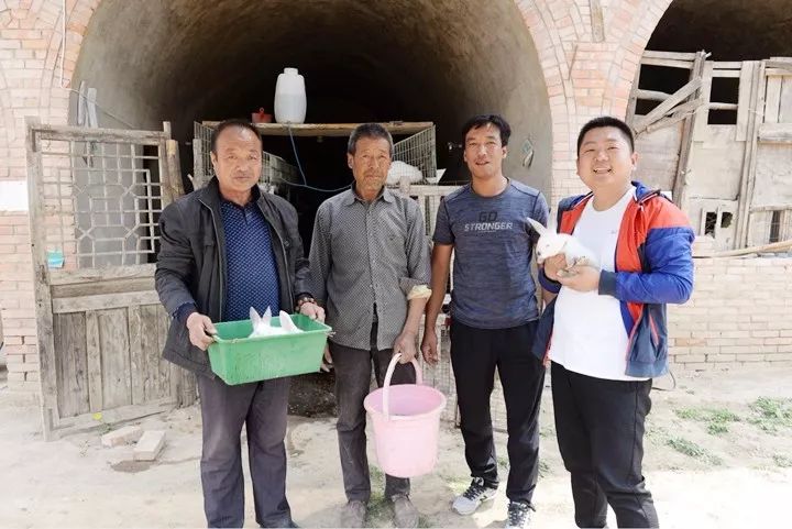 致富经养兔_致富经兔子养殖_致富经养兔致富视频