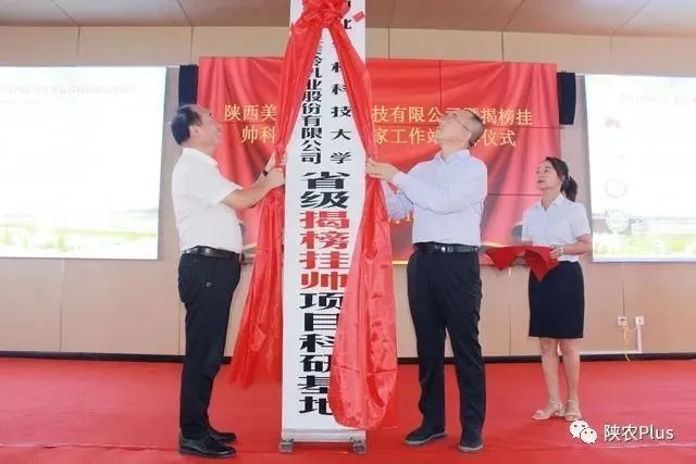致富养殖项目_致富经养殖_致富养殖好项目