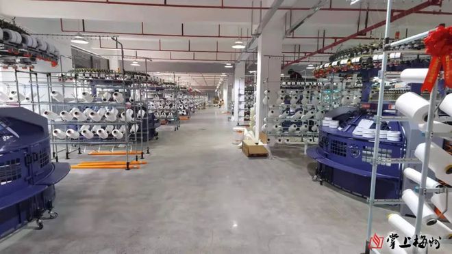 致富经项目_农村15个致富项目_致富项目商机