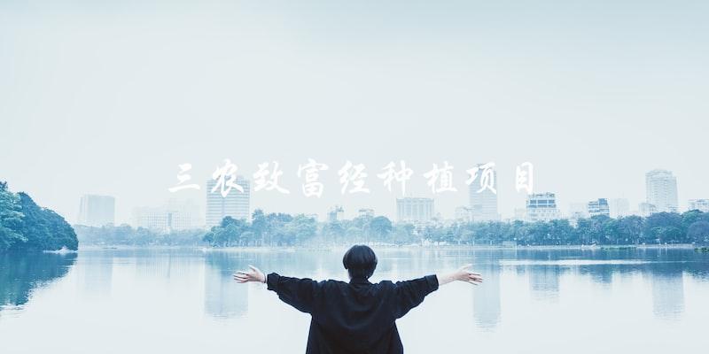 有哪些三农致富经种植项目可以推荐？