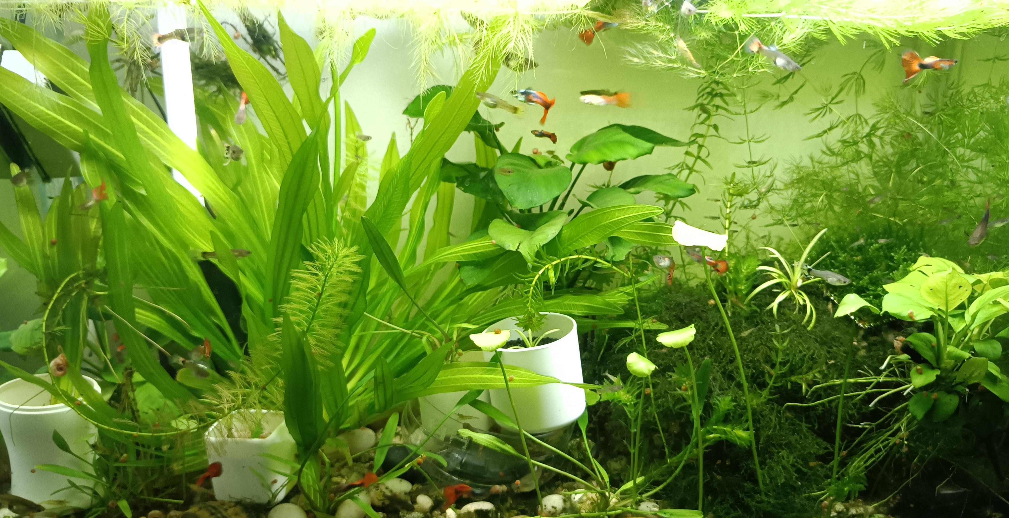 师傅带徒弟心得和经验_买鱼经验心得_心得怎么用