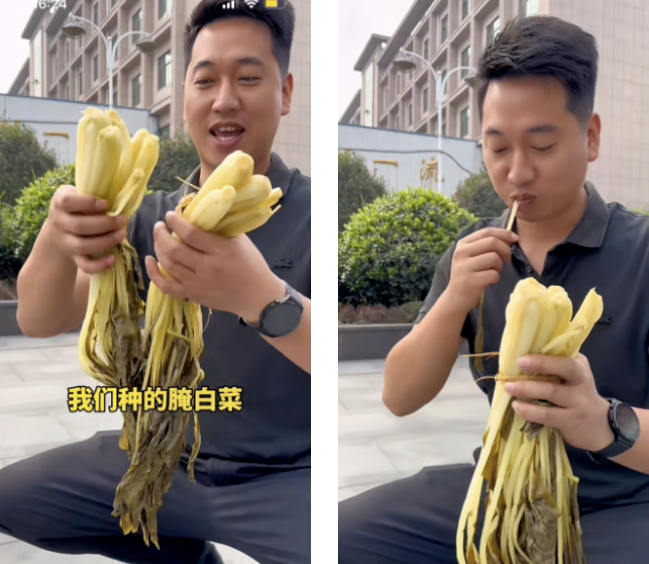 致富故事汇主持人_致富经主持人_致富之道主持人