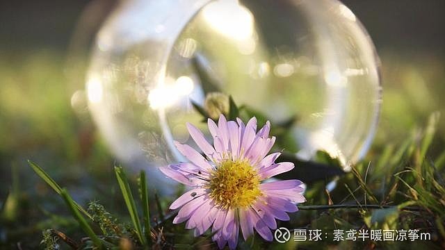 期货心得经验分析_期货经验心得_期货经典心得