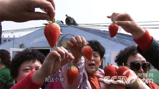 《致富经》 20150511 一个女孩的非凡财富