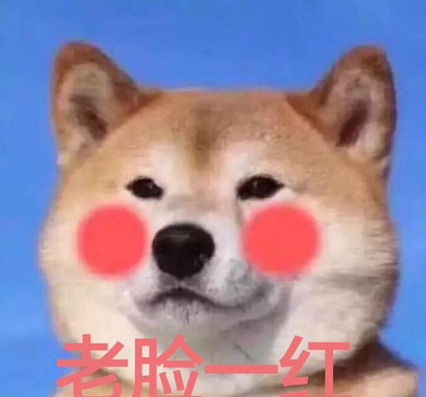 洛杉矶优质学院分享经验_洛杉矶的college_洛杉矶名校