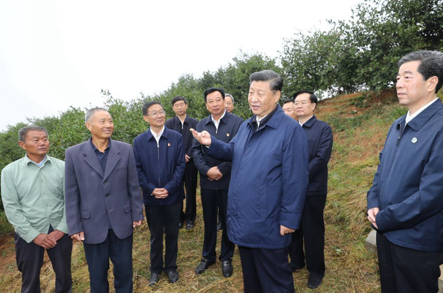 农民致富经_致富农民李文龙_致富农民的心理