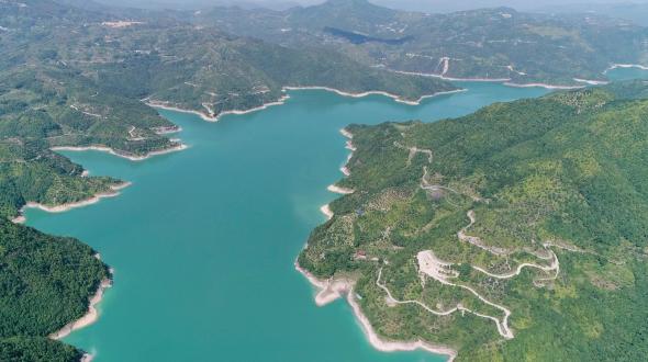 致富鱼游出产业振兴路_致富鱼丰收_致富经鱼