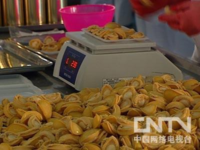 致富经栏目_致富栏目养石蹦_致富栏目组